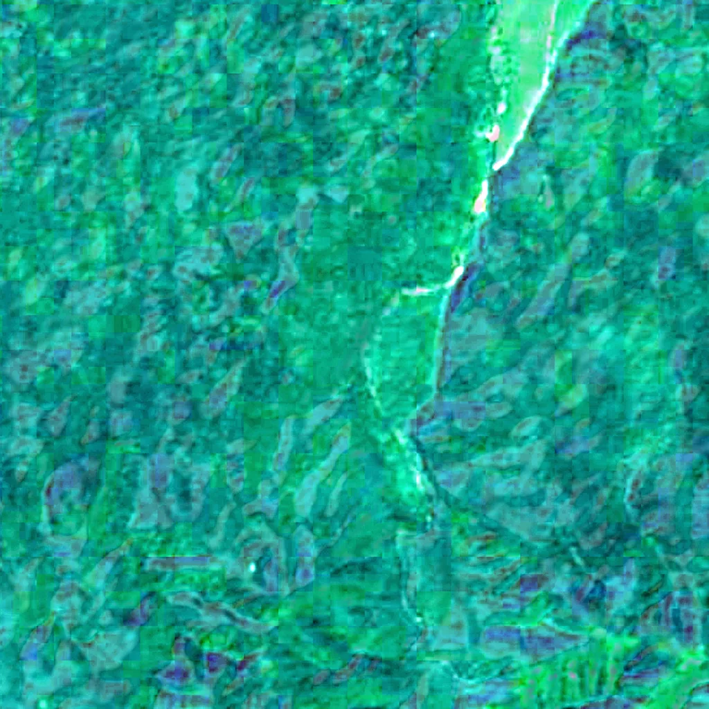 The ground above Actun Tunichil Muknal (Sentinel-2)