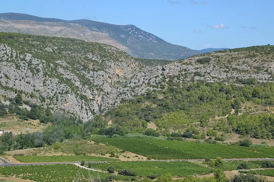 Caune de l'Arago (1)