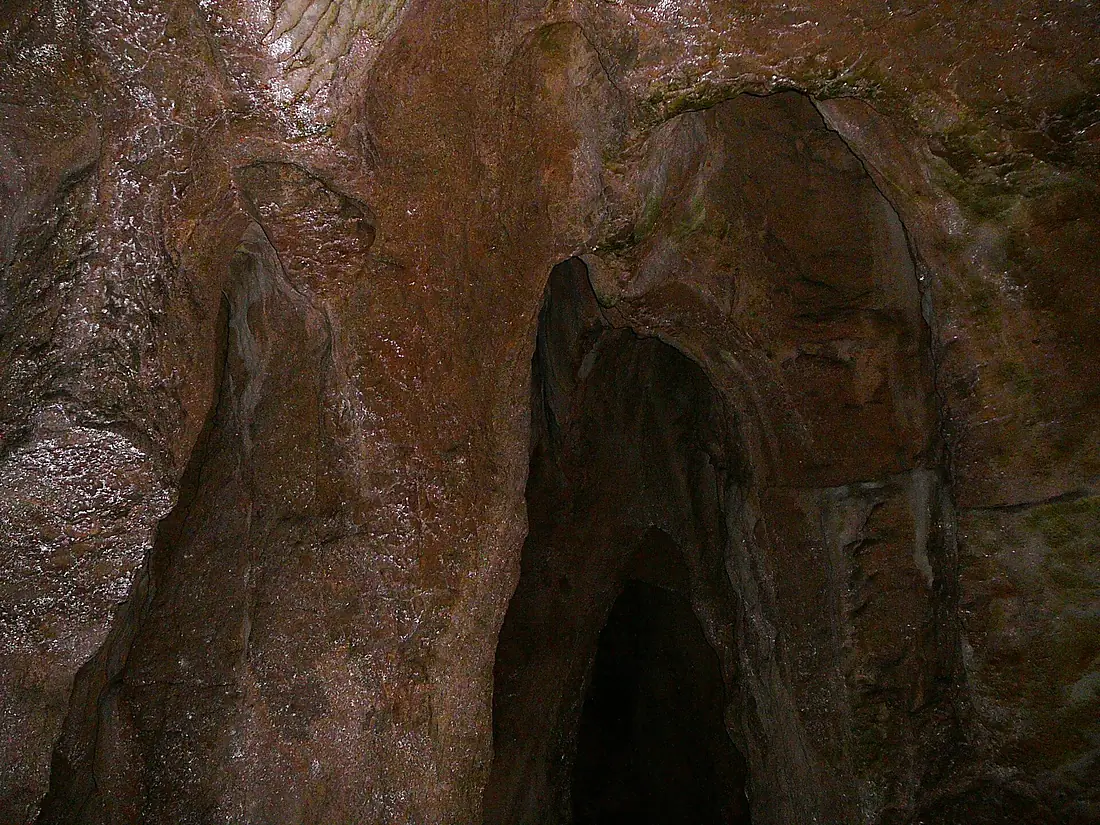 Bacho Kiro cave E1