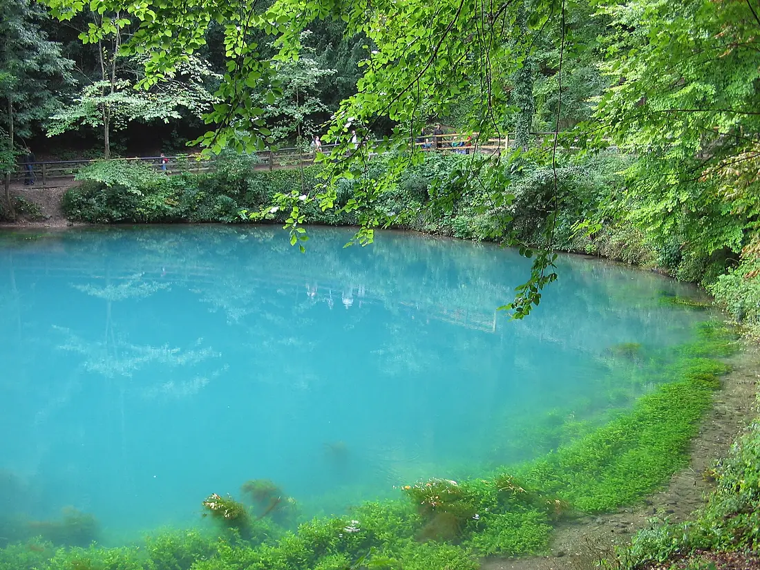 Blautopf-tuerkis