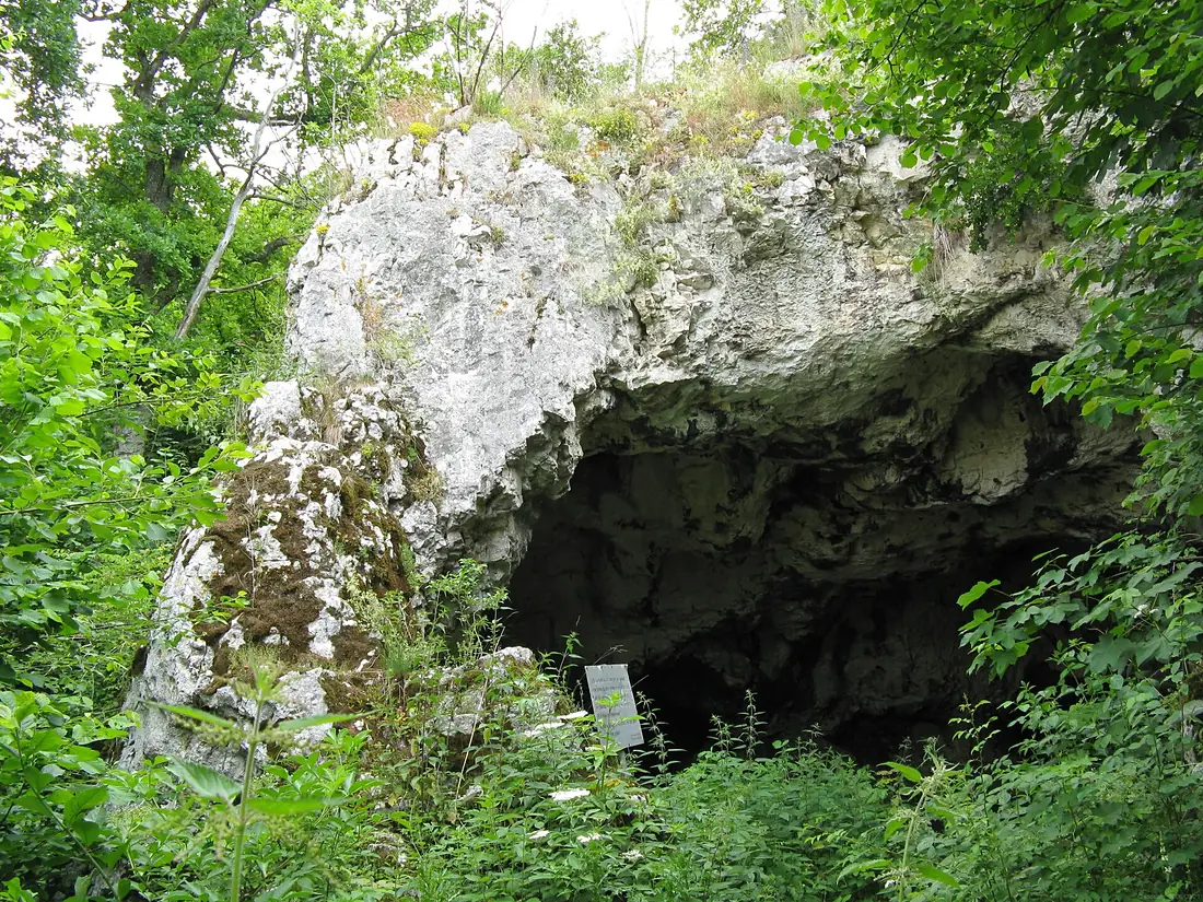 Bocksteinhoehle 20080621