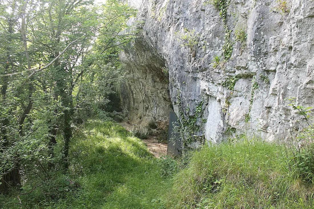 Ogof Bontnewydd Cave Sir Ddinbych 01