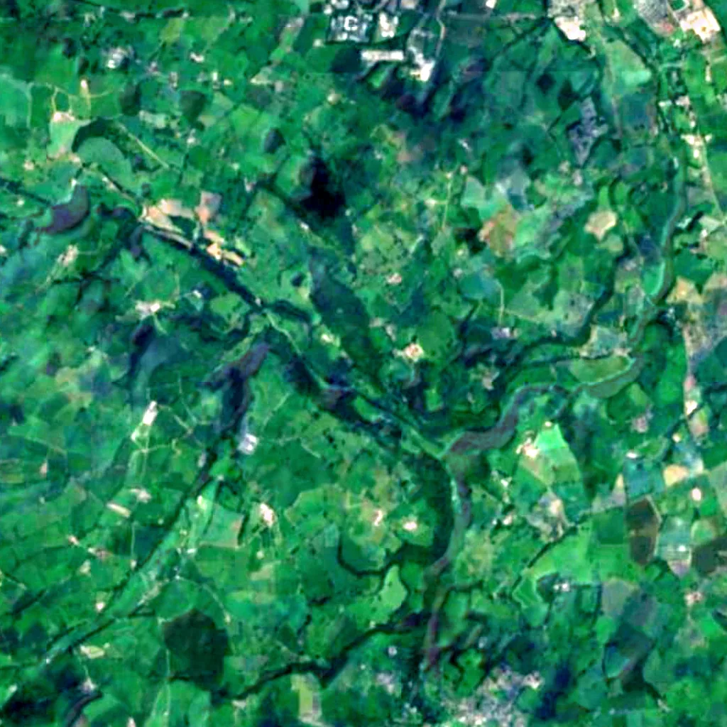 The ground above Bontnewydd Palaeolithic site (Sentinel-2)
