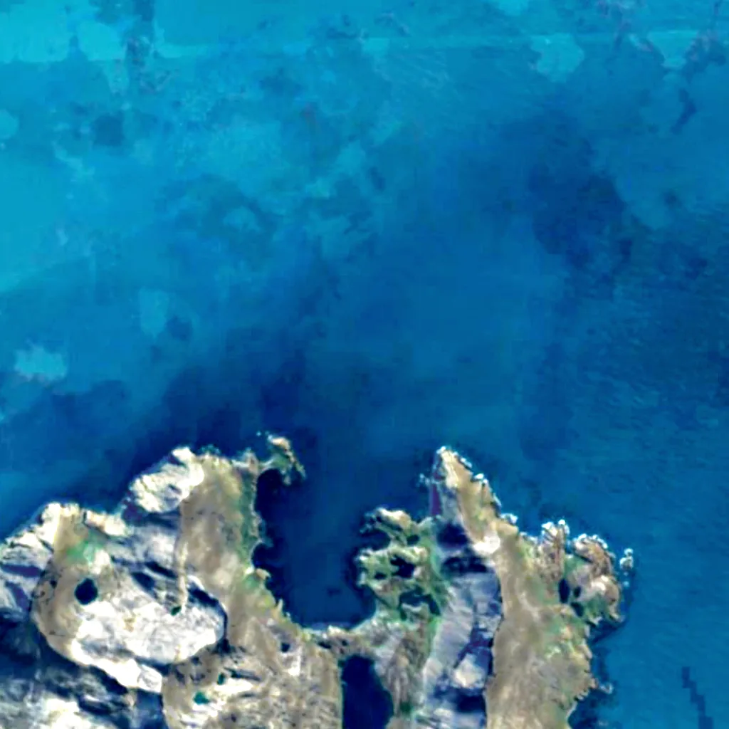 The ground above Burnet Cove (Sentinel-2)