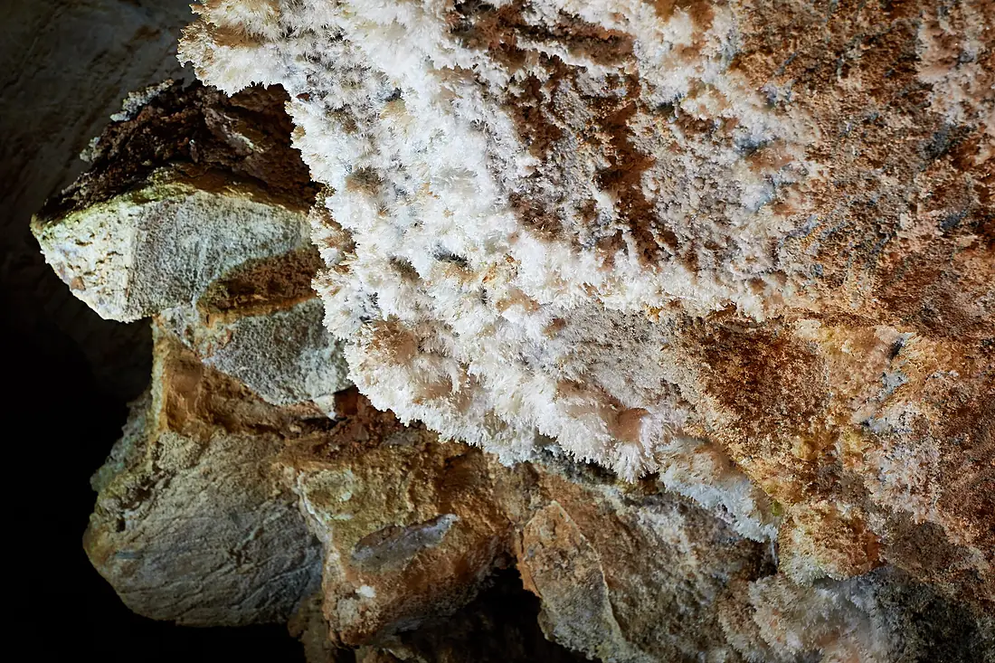 Aragonite in Mercer Caverns, Murphys