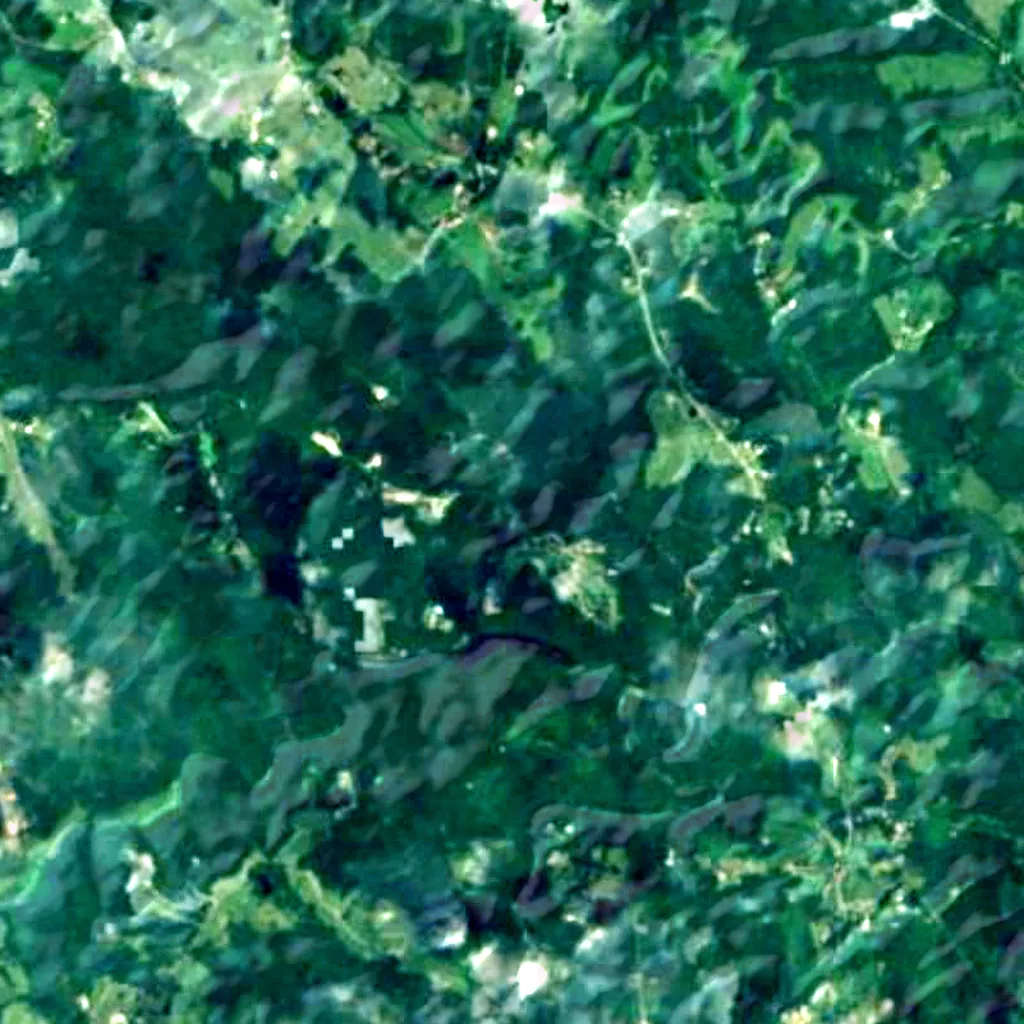 The ground above Carter Caves State Resort Park (Sentinel-2)