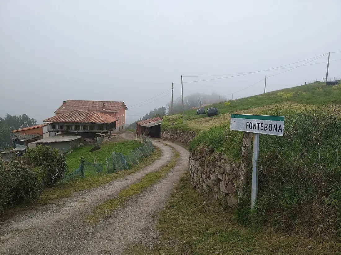 Fontebona - 2020 02 24