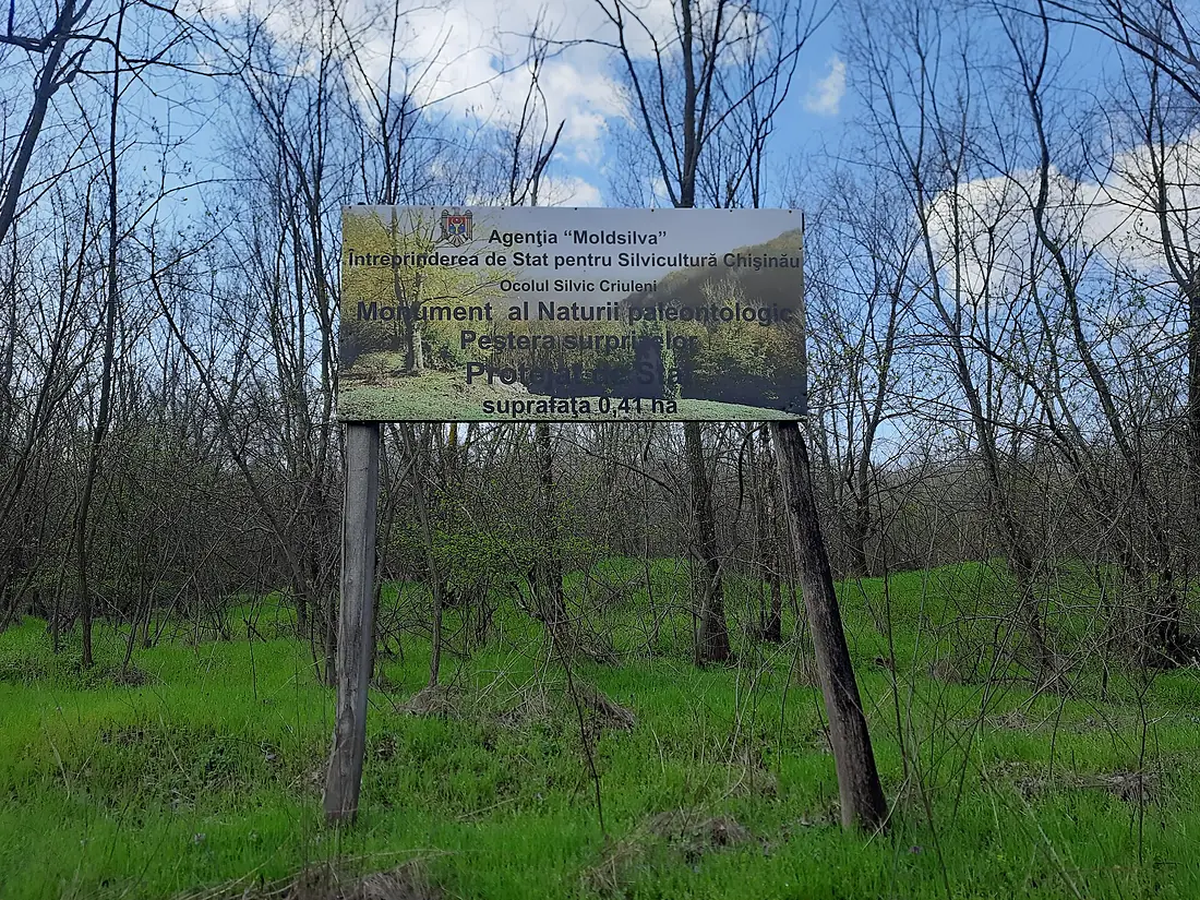 MD.CR.CR - Peștera Surprizelor, panou - apr 2026 - 02
