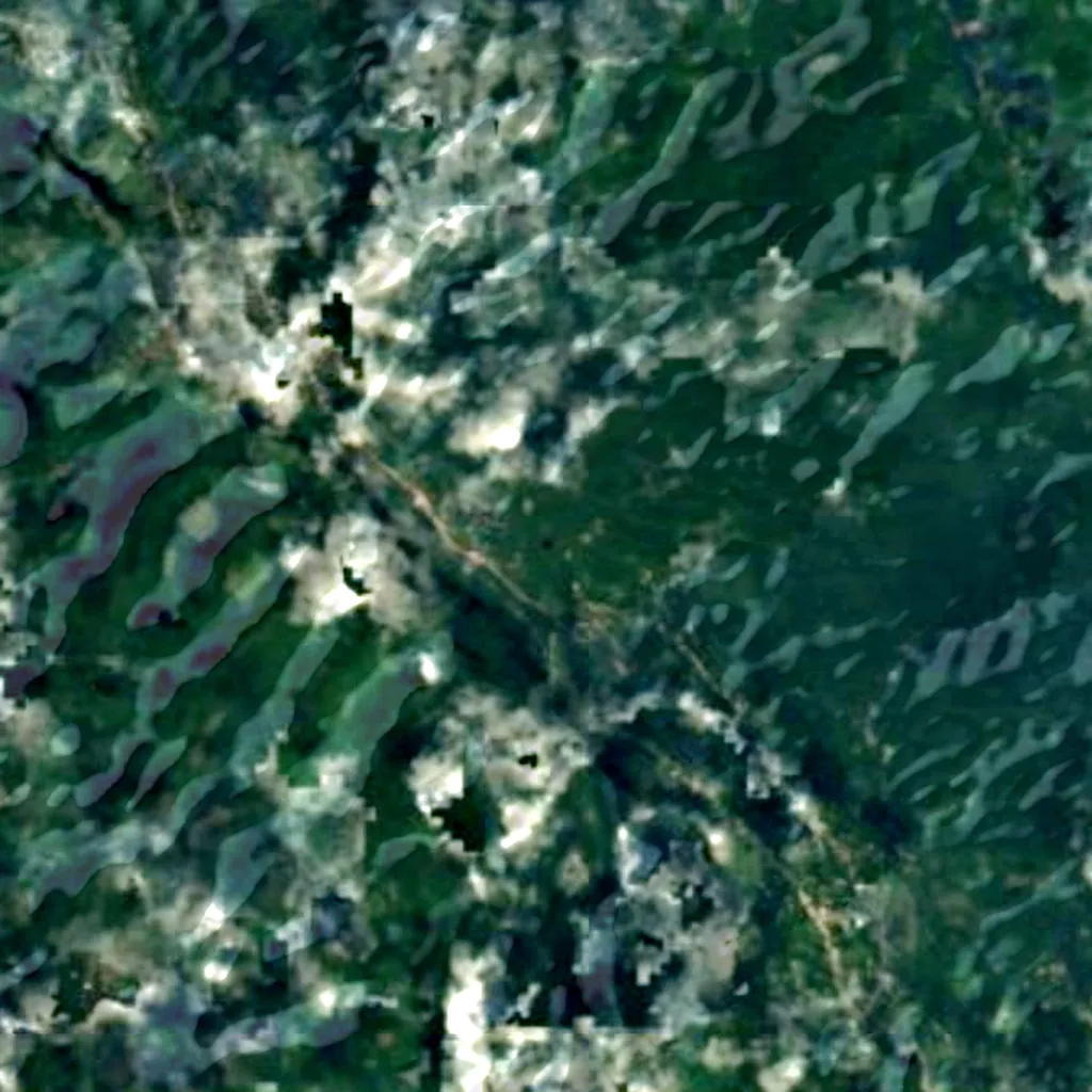 The ground above Cave of Swallows (Sentinel-2)