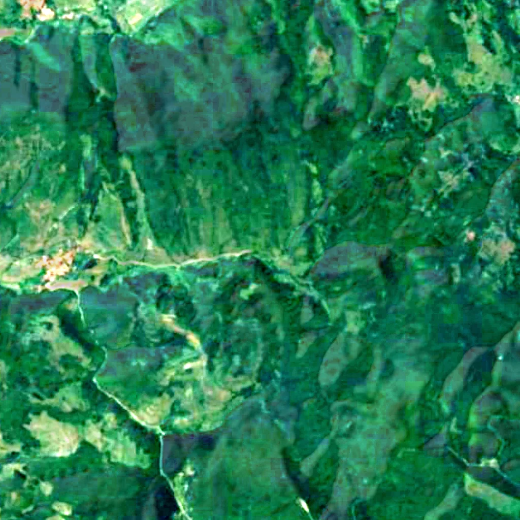 The ground above Cerje cave (Sentinel-2)