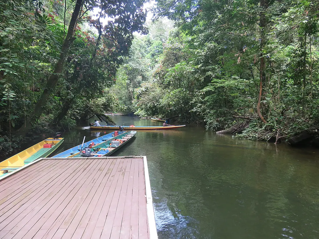 Boat landing at Clearwater Cave, Gunung Mulu National Park, April 2025 01