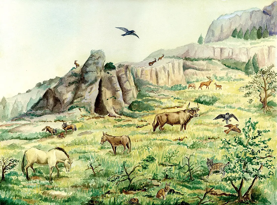 Cova Parpalló (30614315945)