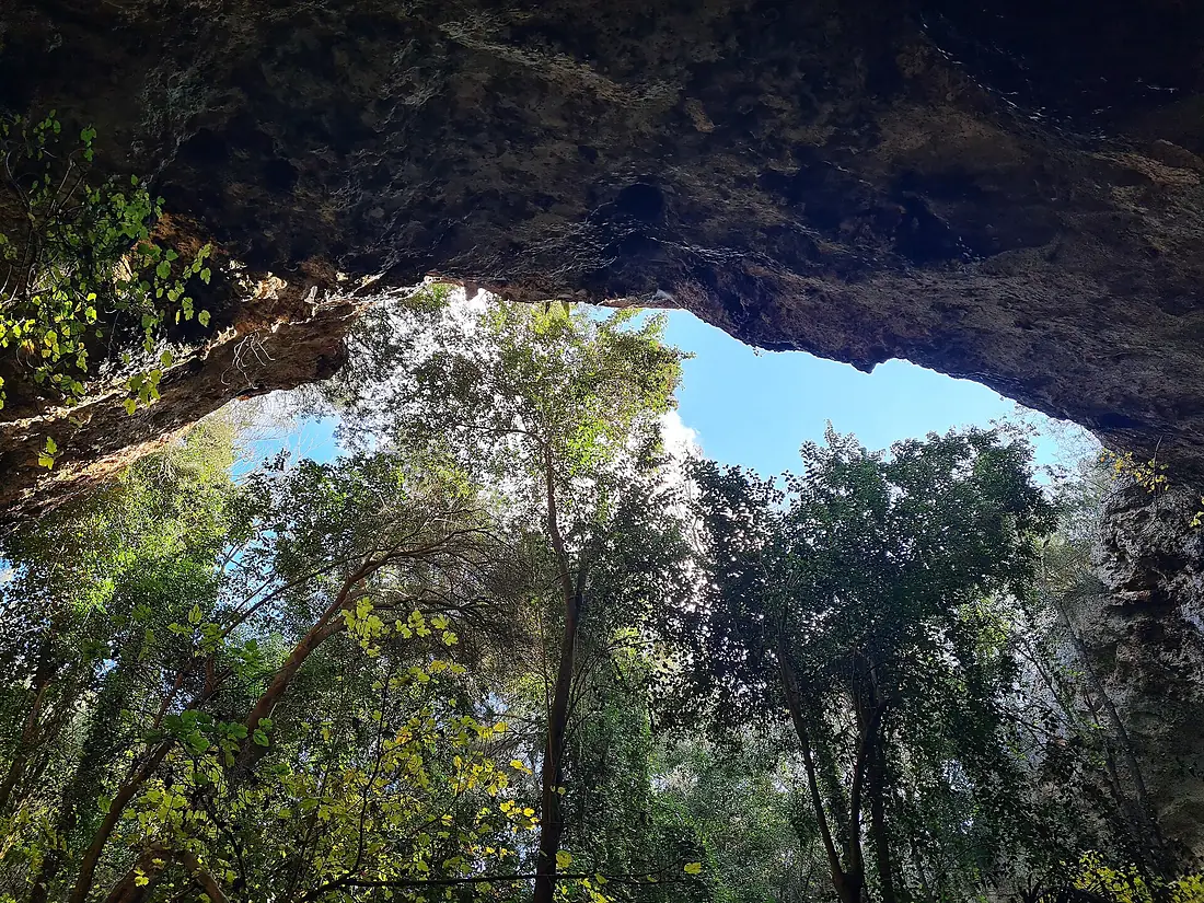Coves dels Hams1220232