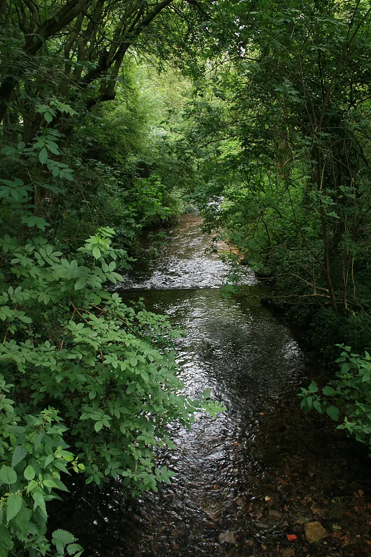 Cresswell crags - panoramio (1)
