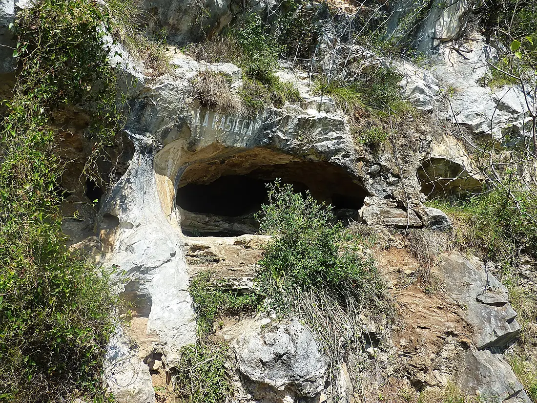 Cueva de la Pasiega,Puente Viesgo