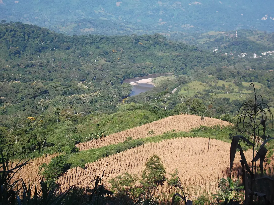 Villa Luz, Tacotalpa, Tabasco - panoramio