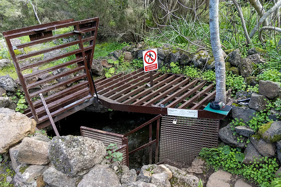 At Cueva del Viento 2023 018