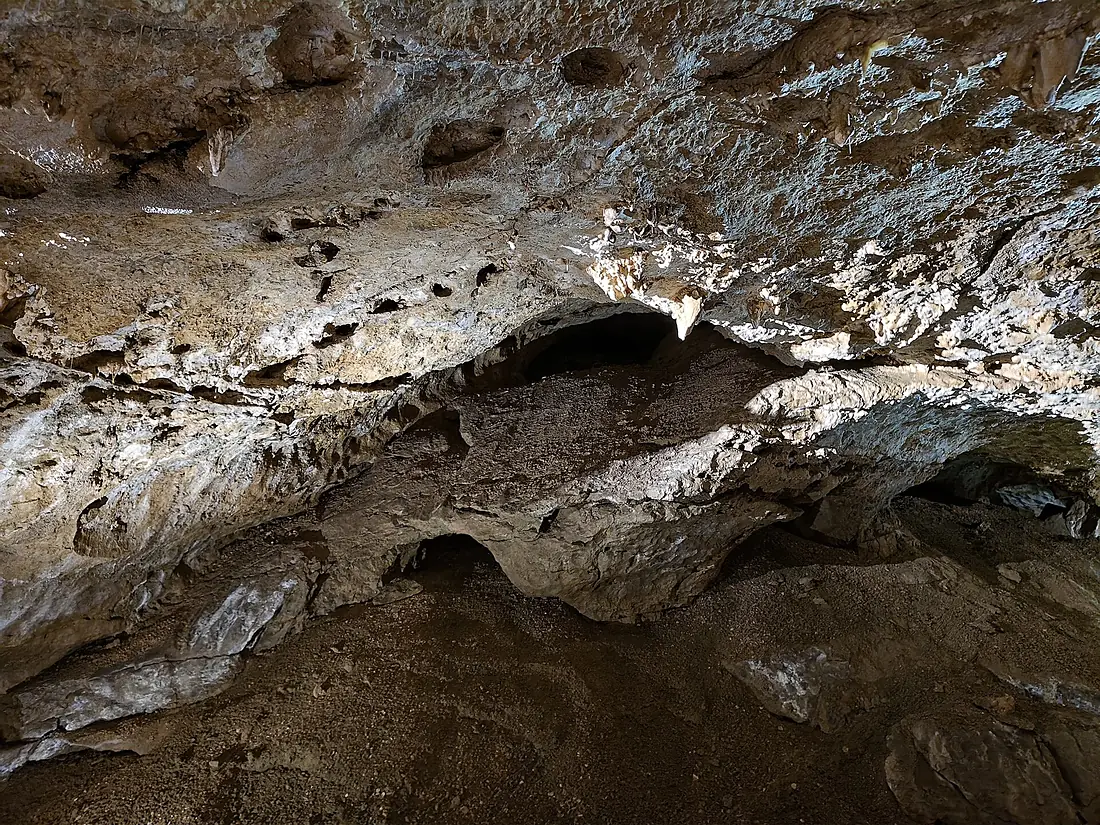 Dachstein Rieseneishöhle summer 2026 B