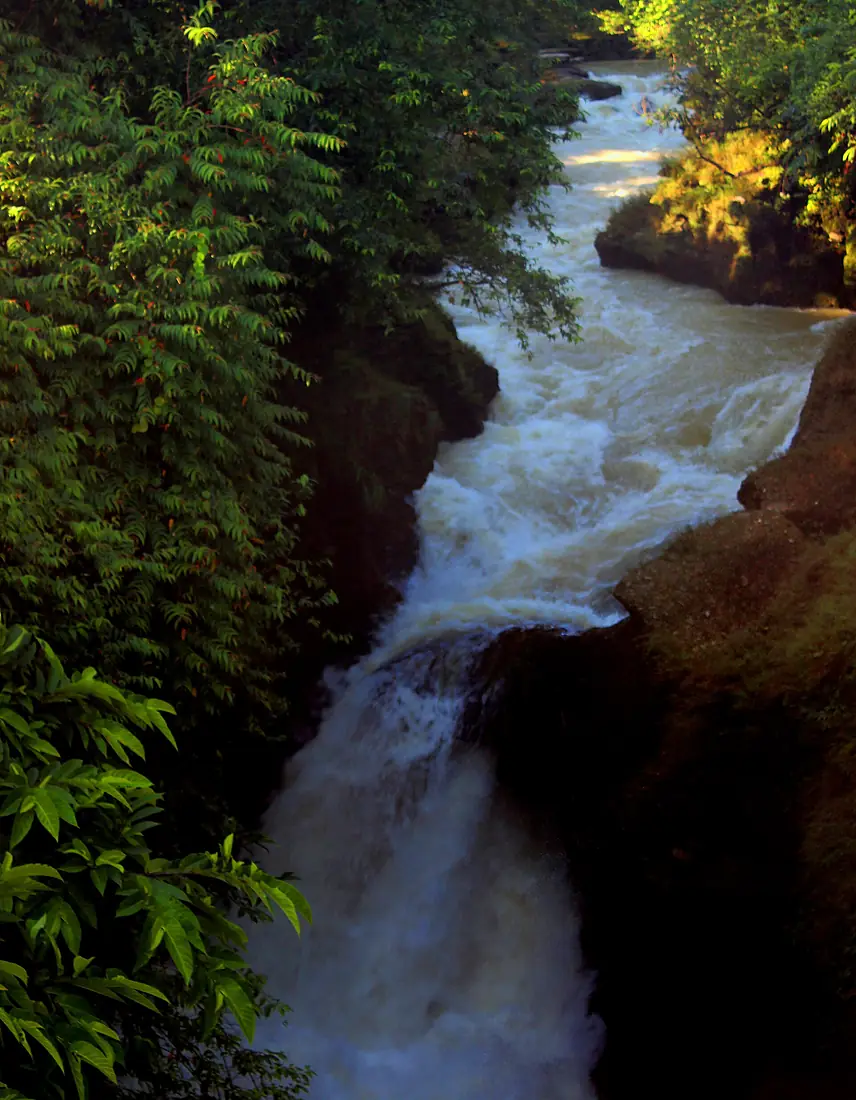 Davis Fall-Sfxr