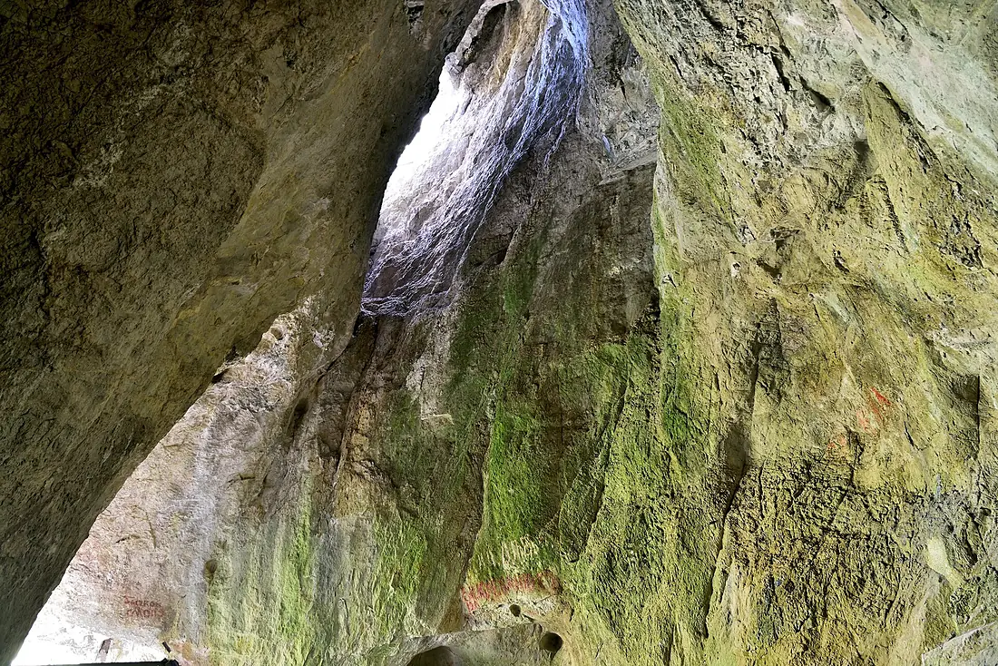 Black anul Ust-Kan district of the Denisova cave
