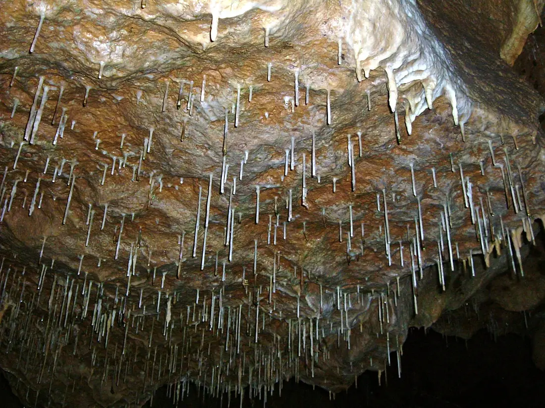 Pottenstein Teufelshöhle Spaghetti