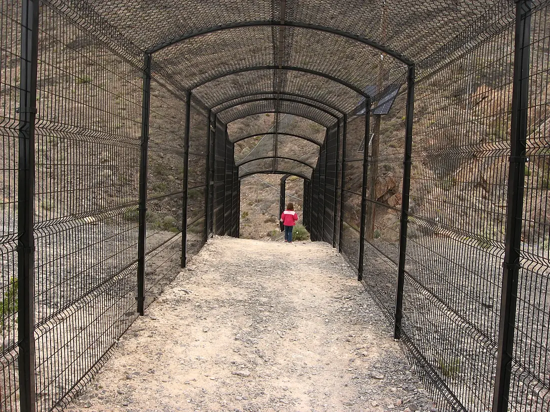 Abby in Cage Protecting Devils Hole, Death Valley National Park (Exclave Unit), Amargosa Valley, Nevada (5629335494)