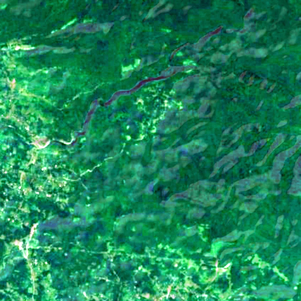 The ground above Didghele Cave Natural Monument (Sentinel-2)