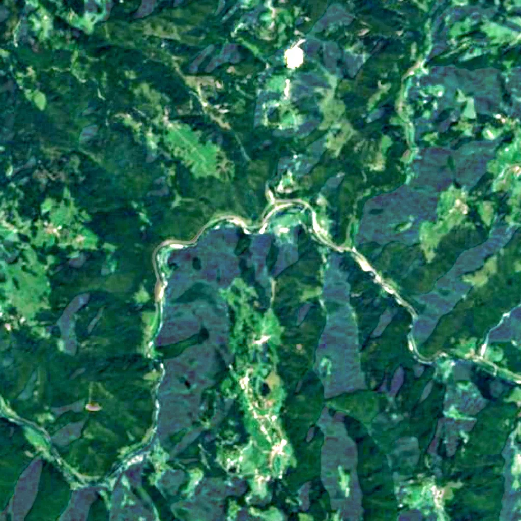 The ground above Divje babe (Sentinel-2)