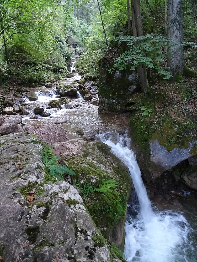 Mixnitzbach Bärenschütz Mixnitz 3