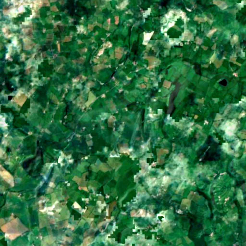 The ground above Dunmore Cave (Sentinel-2)