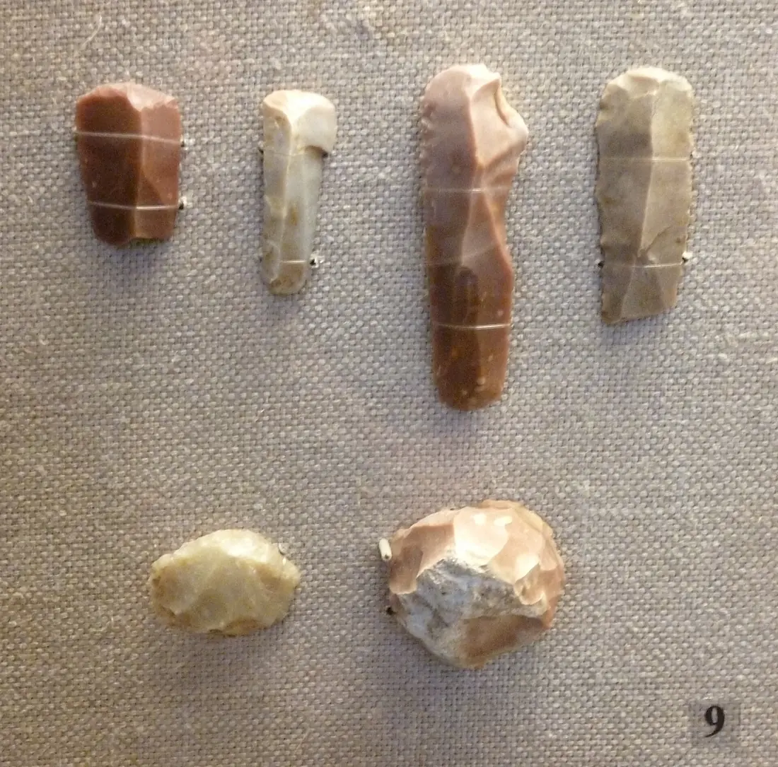 DzudzuanaArS01 (cropped)