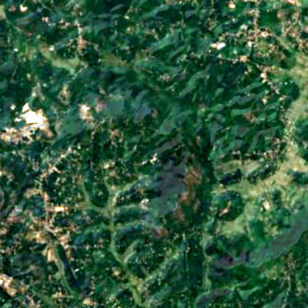 The ground above Edakkal Caves (Sentinel-2)