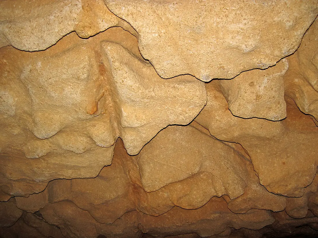 Anastomoses (Endless Caverns, Virginia, USA) 1 (31331206086)