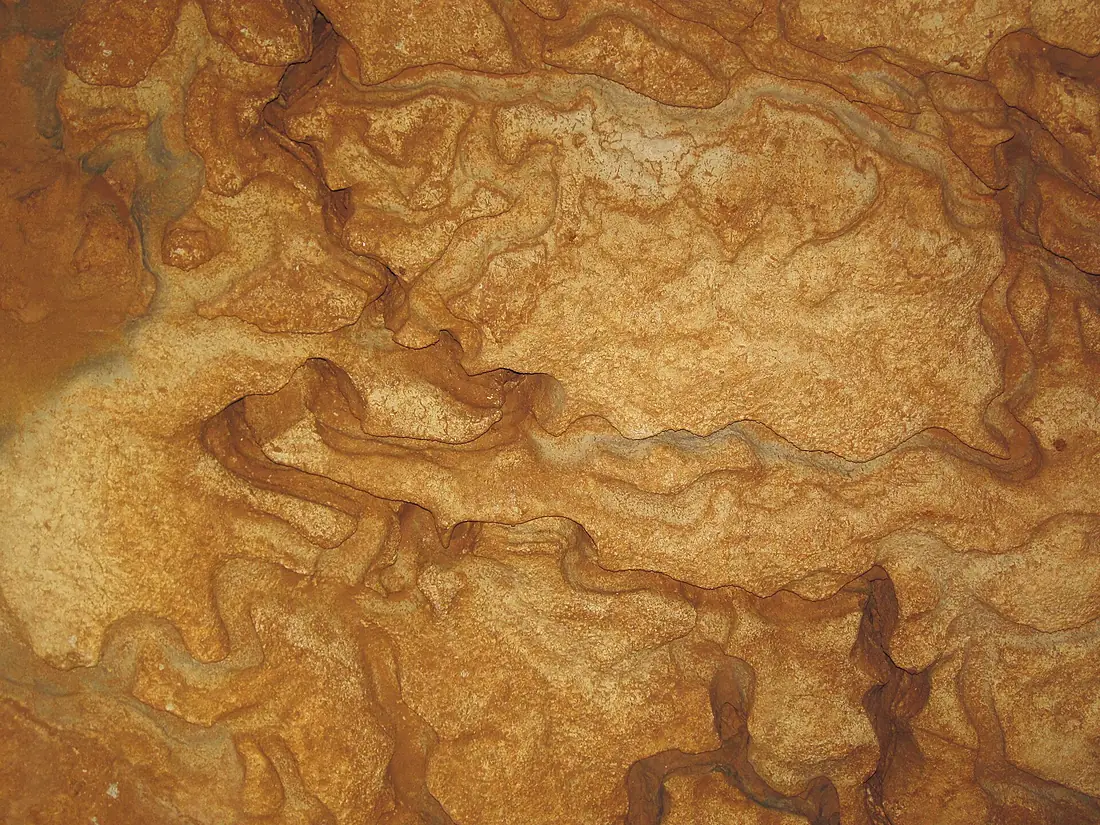Anastomoses (Endless Caverns, Virginia, USA) 10 (31331150476)