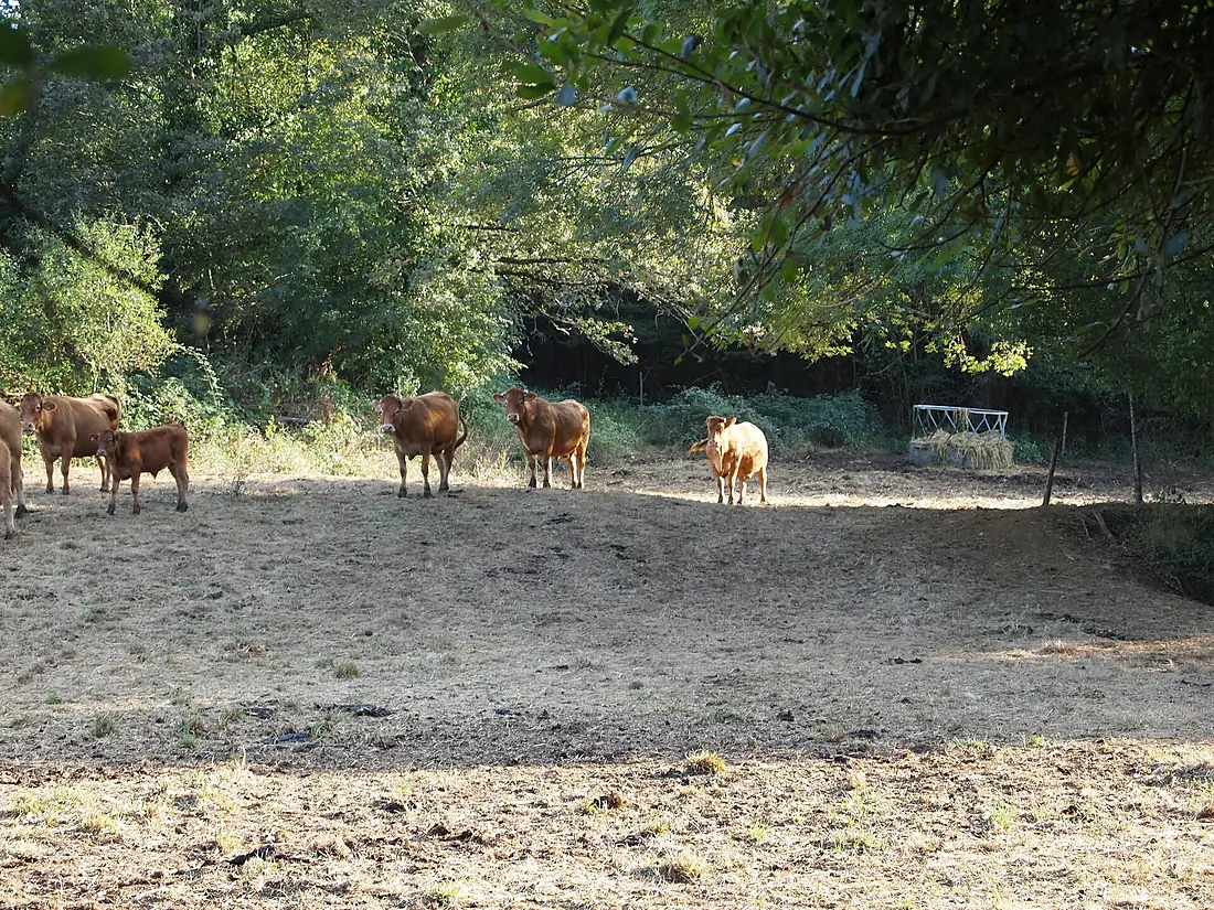 MontbronFonchevade4