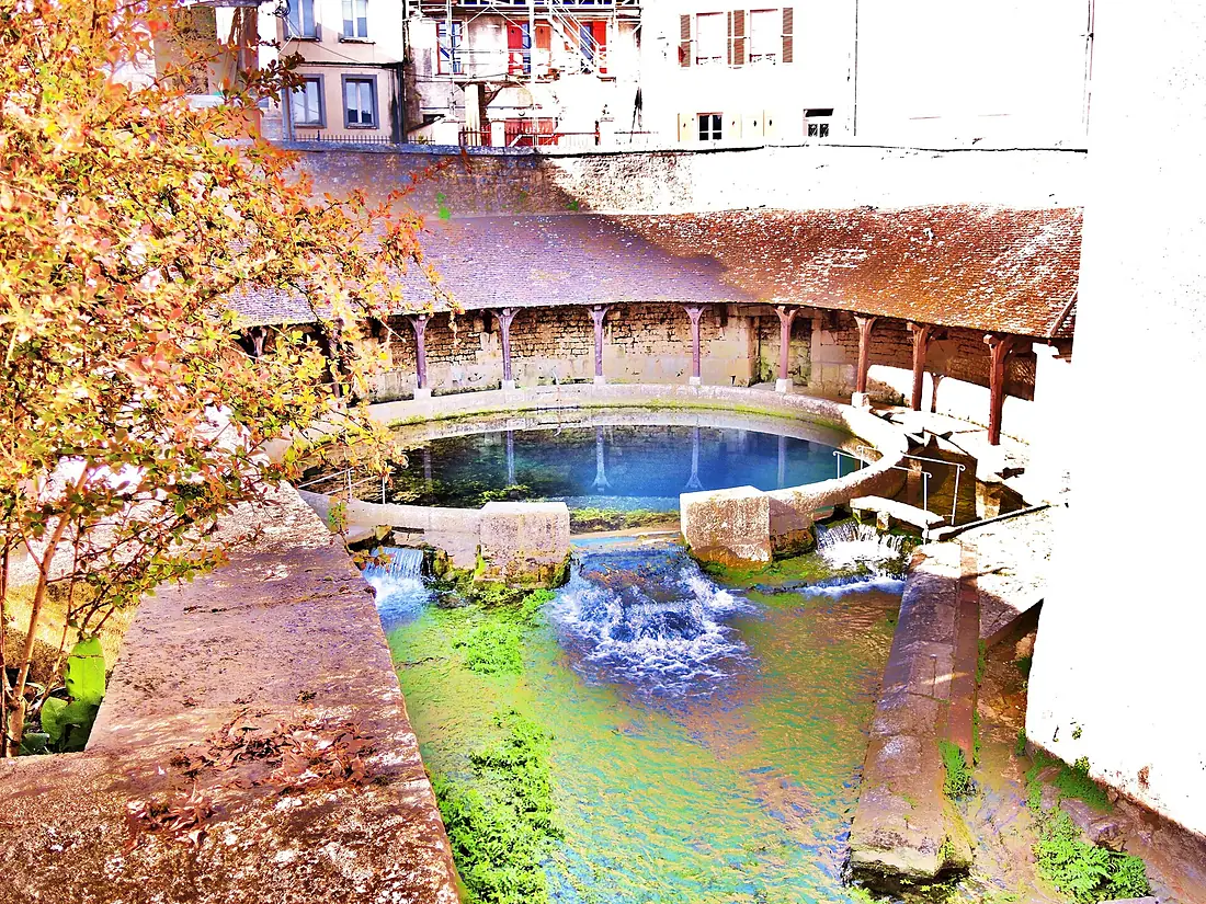 . Fosse Dionne. (1). 2015-04-12.