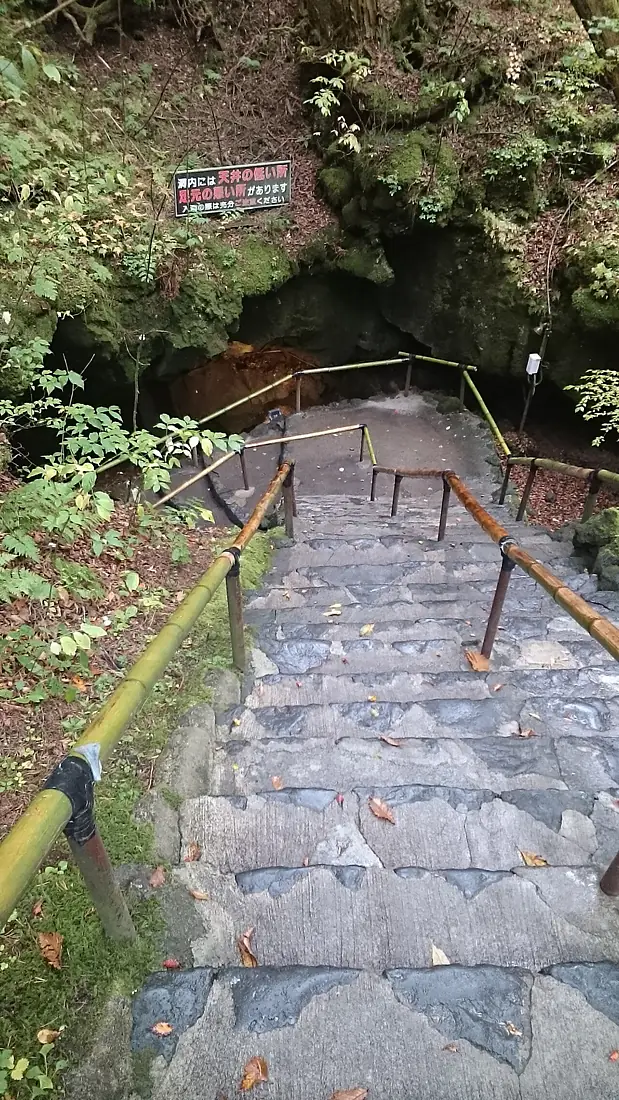 Fugaku Fuketu Entrance Stairs 20161025