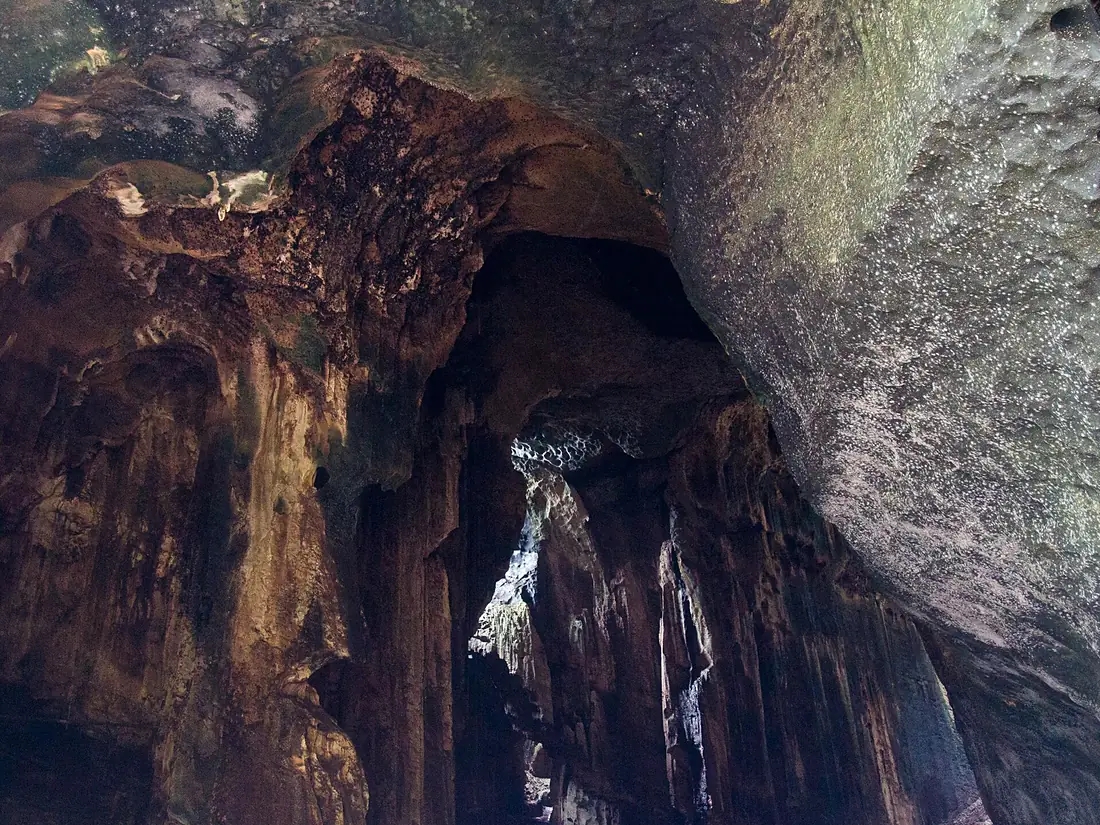Gomantong Caves (14157330264)