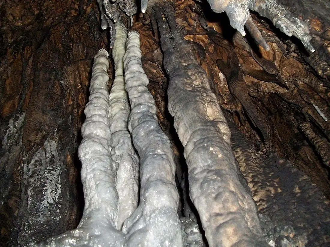 Banja Stijena Govjestica 1