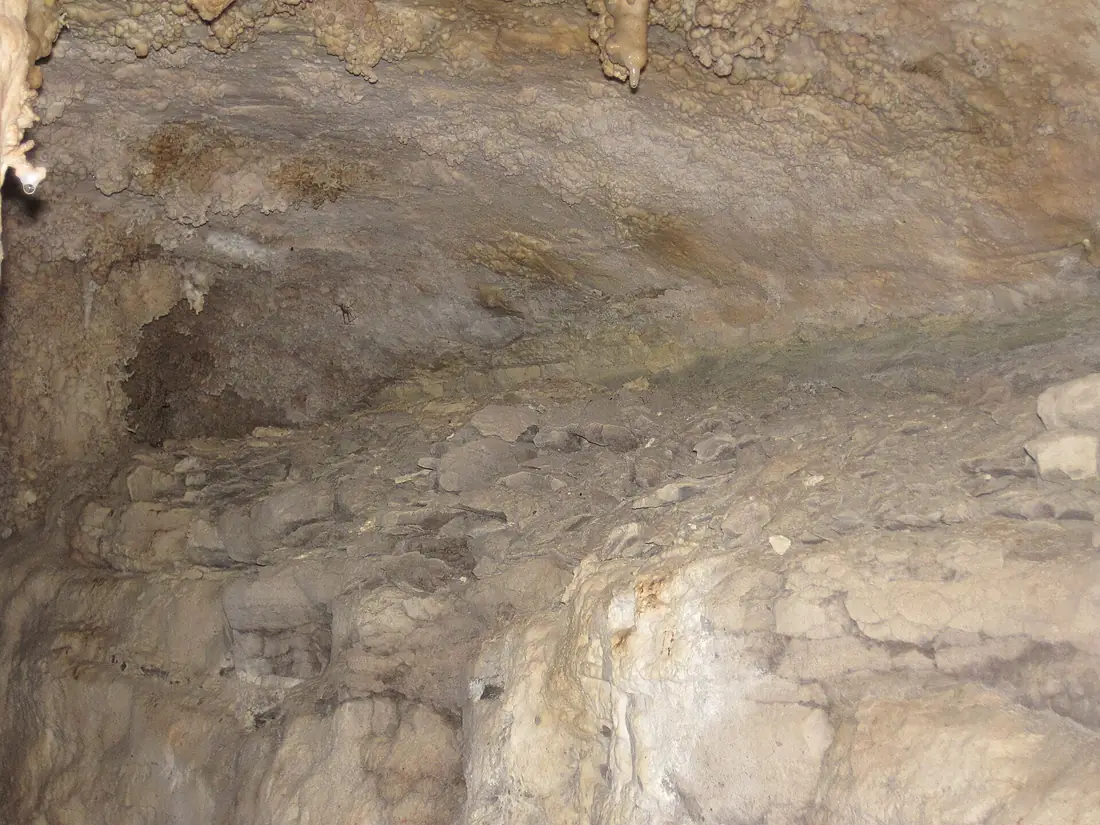 Bethel Shale Member (wall of Great Onyx Cave, Flint Ridge, Mammoth Cave National Park, Kentucky, USA) 2 (8314189876)