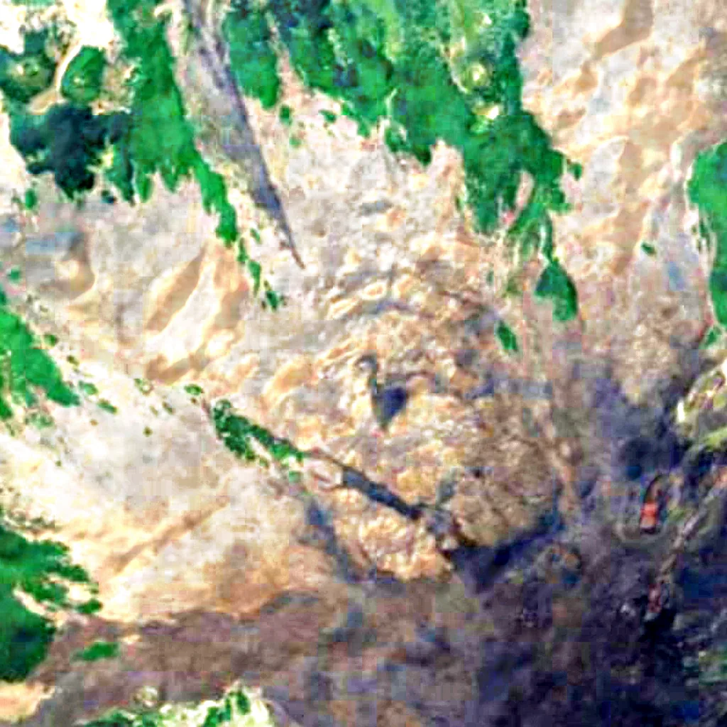 The ground above Grotta del Gelo (Sentinel-2)