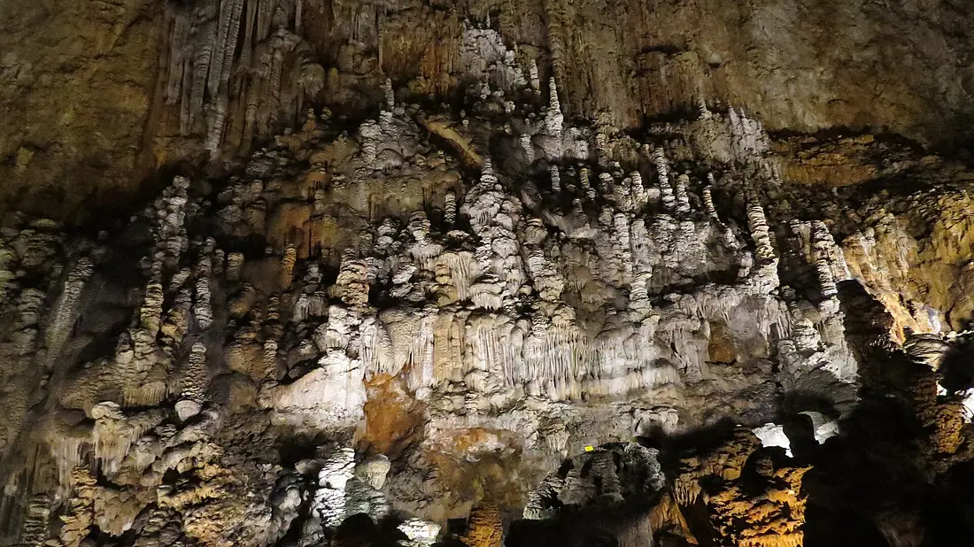 Grotta Gigante 2613