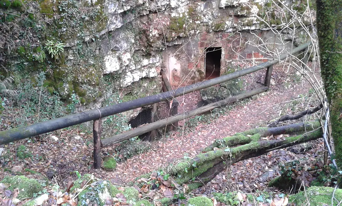 Grotta di Pecina e ricoveri austroungarici