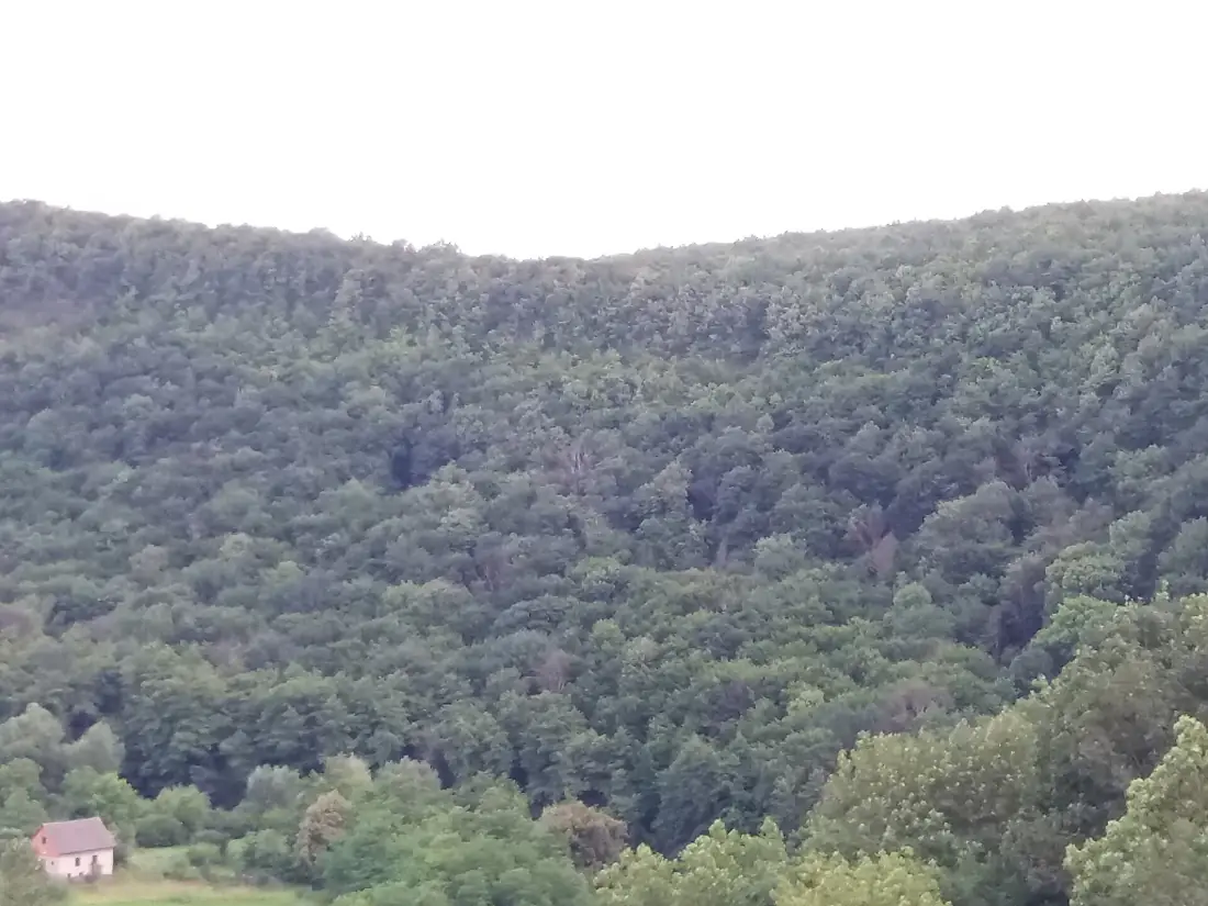 Стінка Улашківська