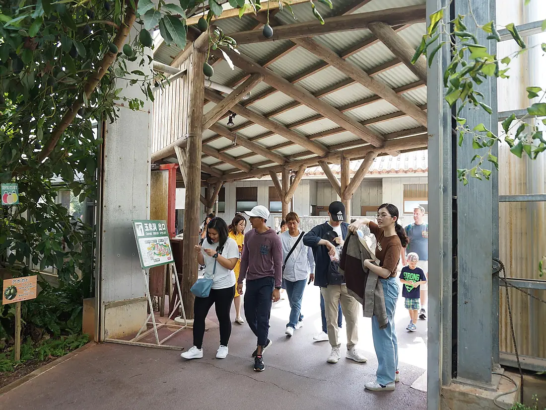 Cave Exit, Gyokusendo 20191110