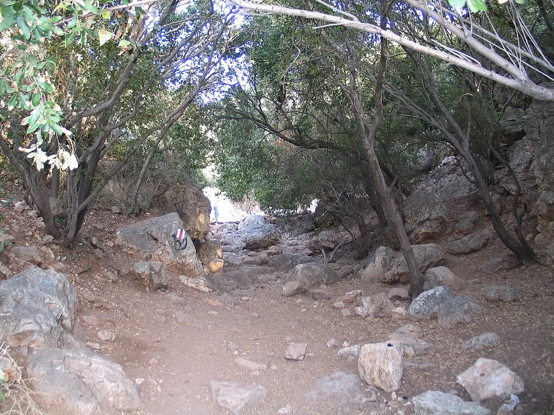 Mearat-Teomim-67