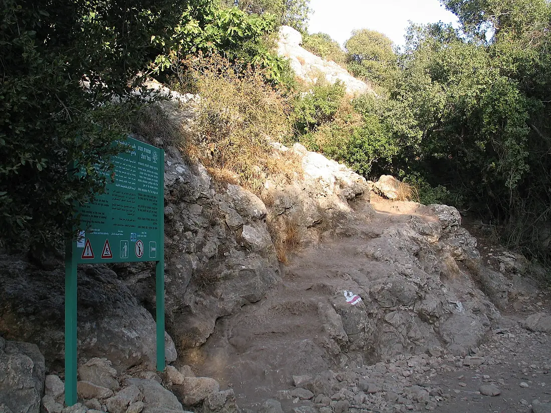 Mearat-Teomim-68