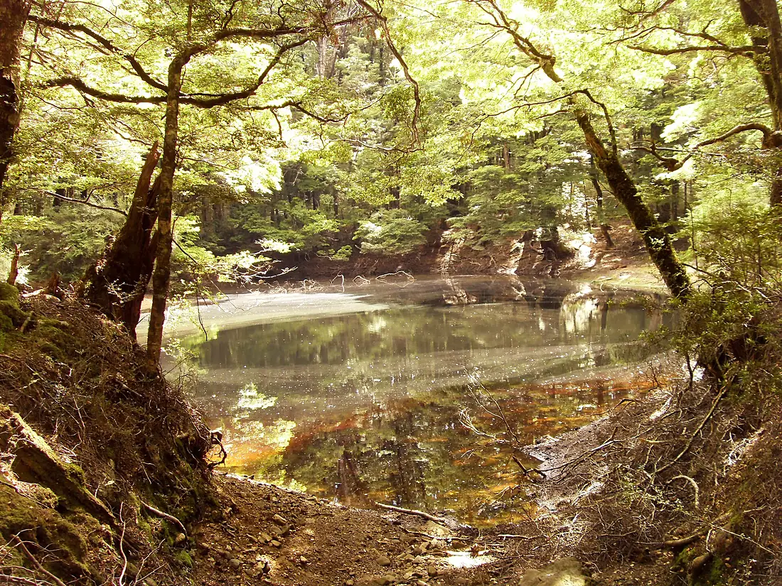 Harwoods Hole track - panoramio (981)
