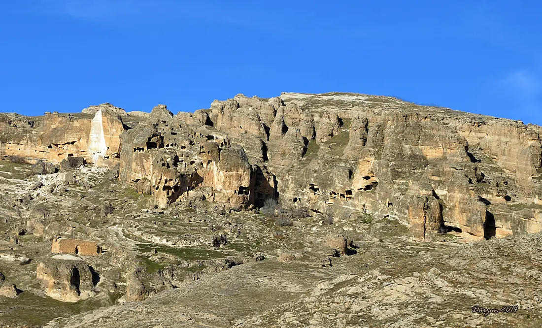 Hesûnê 2014