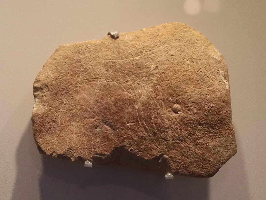 Stone Age Animal Carving, Hayonim Cave, 28000 BP (detail)